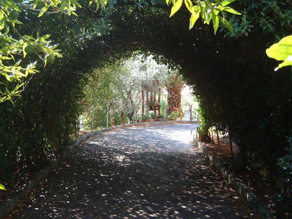 L'Uliveto Villa Montebuono  Exterior foto