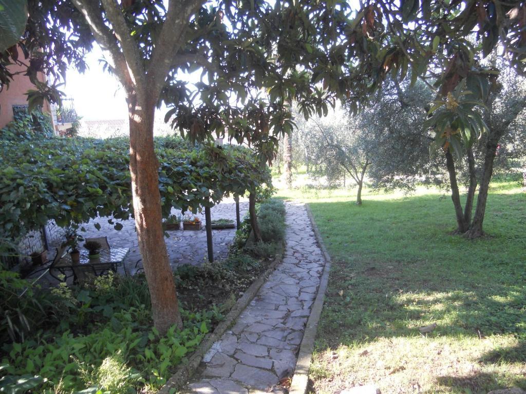 L'Uliveto Villa Montebuono  Exterior foto